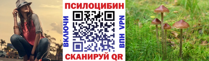 Псилоцибиновые грибы мухоморы  Купить  Яранск 